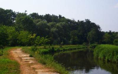 Making Disciples Is NOT the Ultimate Purpose of God