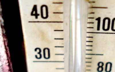 Cold Temps Close Office