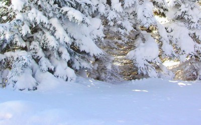 ALERT! Classes Cancelled Tonight
