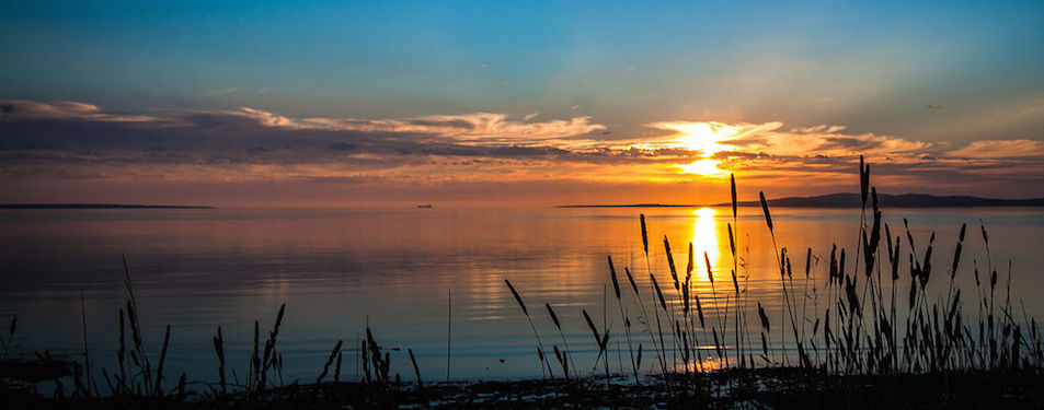 Photo: Sunset Reeds by Jacqui Barker [CC BY 2.0 (http://creativecommons.org/licenses/by/2.0)], via Wikimedia Commons