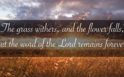 Have You Tasted that the Lord is Good?
