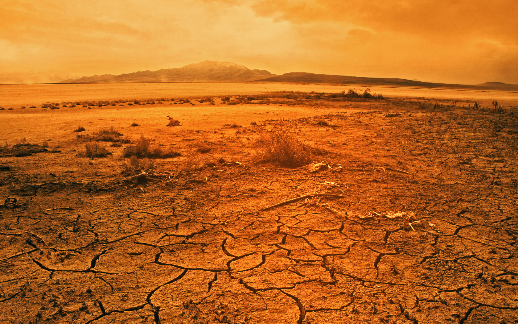 dry wilderness with cracked ground