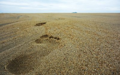 Counseling and the Shifting Sand of Circumstance