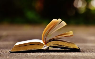 Training Manual Teaser: Semester One, Chapter Two