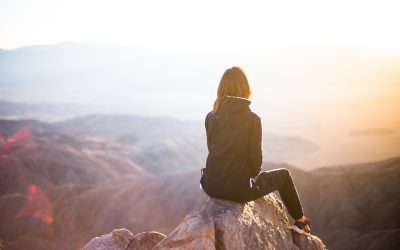 What are you seeking?